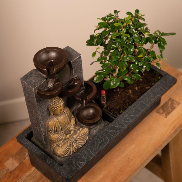 Bonsai Waterval (budha) - Ø15cm - ↕30cm