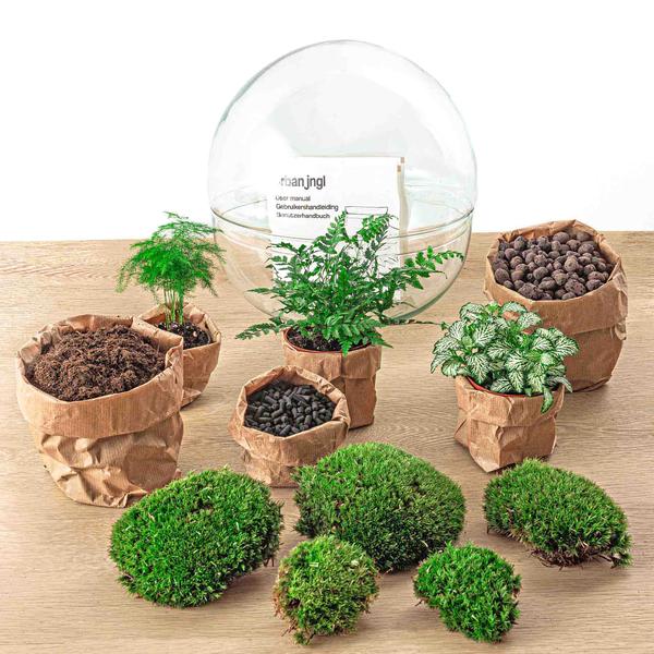 DIY terrarium - Dome XL - ↕ 30 cm - Rake + Shovel + Tweezer + Scissors