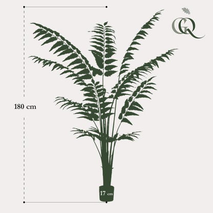 Kunstplant - Rumohra Adiantiformis - Ledervaren - 180 cm