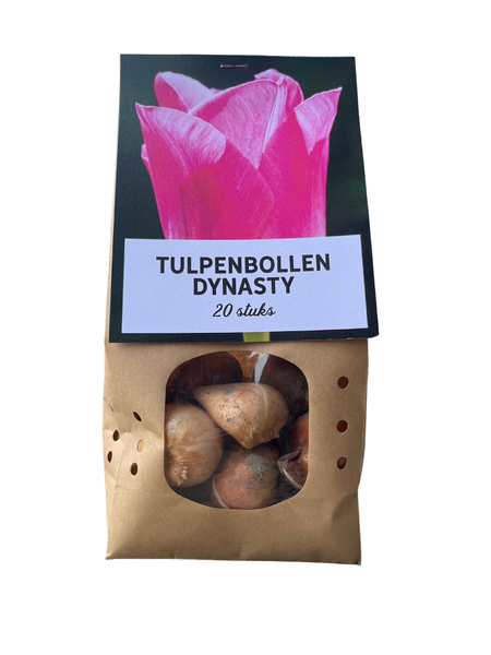 Dynasty - Tulpenbollen 20 stuks