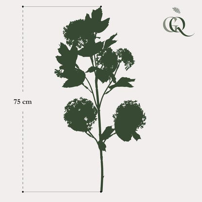 Kunstbloemen Solo - Crème - Viburnum Opulus Branches - x 4 - 75cm