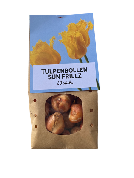 Sun Frillz - Tulpenbollen 20 stuks