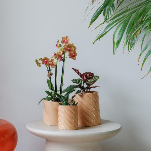 Kolibri Home | Candy sierpot | Hoog - Peach - Ø6cm